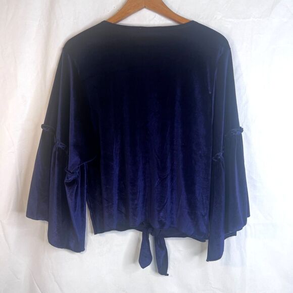 Lavender Field Velvet Vneck Statement Sleeve Blouse Tie Waist Size Medium VTG - Picture 2 of 8